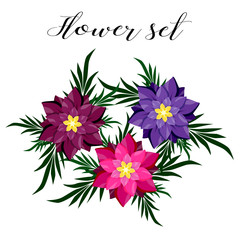 Set of flowers on a white background.