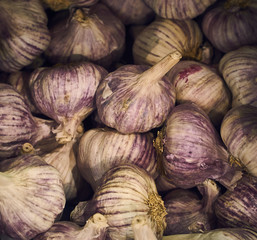 Spanish garlic bulbs