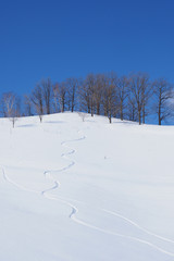 北海道のスキー場