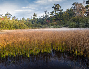 Morning Frost French River