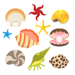 Set of sea shells, oysters with pearls and sea stars, snails. Vector, illustration in flat style isolated on white background EPS10.