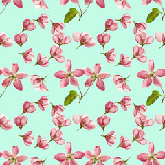 Apple. Seamless pattern texture of flowers. Floral background, photo collage
