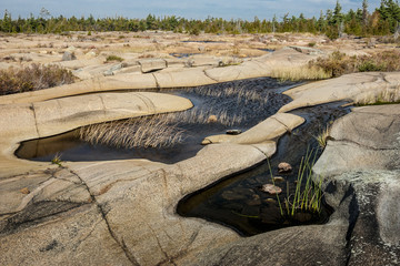 Shoreline Pools