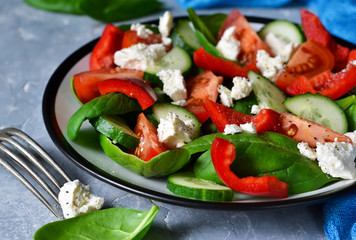 Vegetable salad with tomatoes, spinach and peppers on a concrete, gray background.
