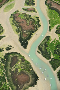 Aerial view of river in marshes at low tide, Bah&iacute;a de C&aacute;diz Natural Park, C&aacute;diz, Andalusia, Spain, February 2009