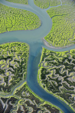 Aerial view of marshes with Seaweed exposed at low tide, Bah&iacute;a de C&aacute;diz Natural Park, C&aacute;diz, Andalusia, Spain, March 2008 WWE BOOK PLATE. Wild Wonders kids book.