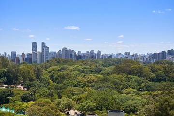 Preserved environment in Ibirapuera Park, trees and native vegetation. Buildings in the background, São Paulo city.