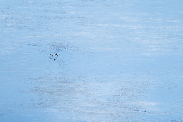 Blue wood background. Painted scraped wooden board. Grunge plywood texture or pattern.