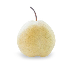 Chinese pear fruit