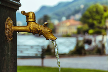 Dragon fountain in the Como, Italy, selective focus
