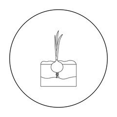 Onion icon outline. Single plant icon from the big farm, garden, agriculture outline.