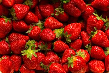 Many strawberries top view