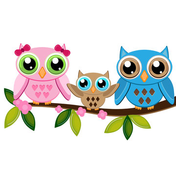 two owls with baby on a branch