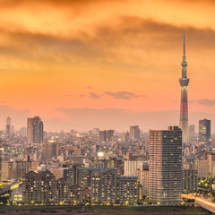 Fototapeta na wymiar Tokyo city skyline at sunset