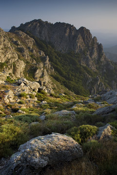 Mouflon habitat, Parc naturel regional du Haut-Languedoc, Caroux, France, July 2009