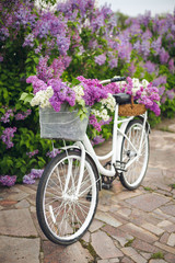 Fototapeta na wymiar White retro bicycle with basket of flowers