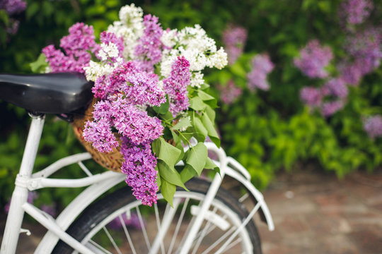 White retro bicycle with basket of flowers