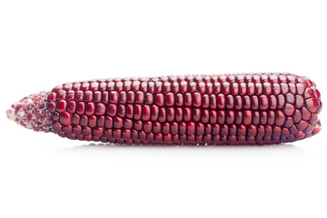 fresh red color corn isolated on white background with clipping path