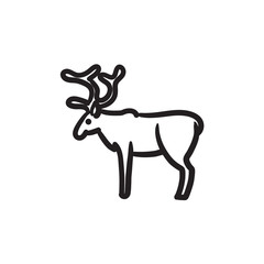 Deer sketch icon.