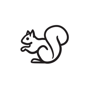 Squirrel sketch icon.