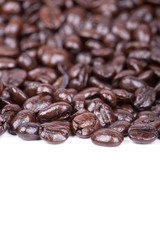 Coffee beans isoalted on white background