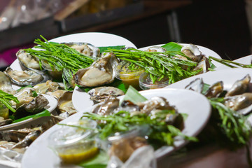 Fresh oysters in a white plate