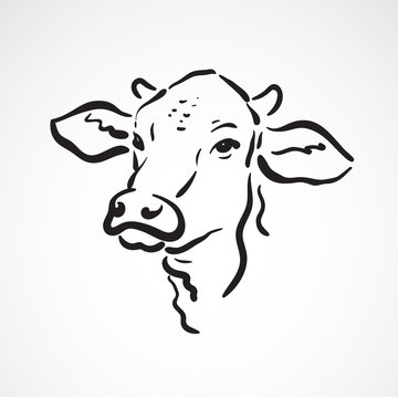 Vector of a cow head on white background. Farm Animals.
