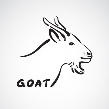 Vector of a goat head on white background. Farm Animals.
