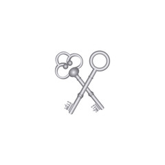 silver old keys icon stock, vector illustration image design