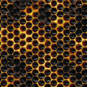 Seamless  pattern  wih honeycomb