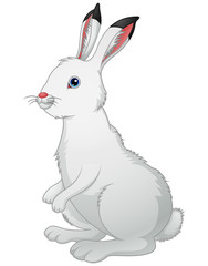 Cute white rabbit on a white background
