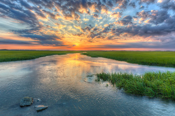 Marsh sunset - obrazy, fototapety, plakaty