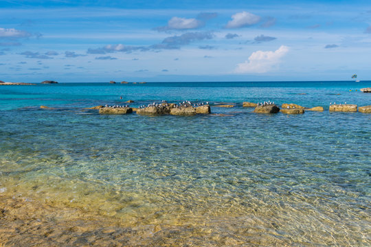 Beautiful Beach In Great Stirrup Cay Island, Bahamas