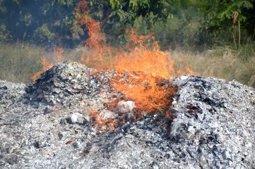 fire burning ash in nature garden