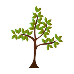 Fototapeta na wymiar tree plant nature icon vector illustration design
