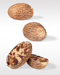 Macro close up of Nutmeg