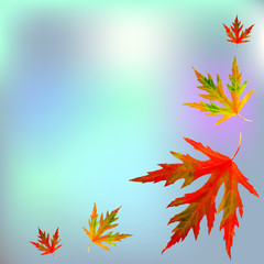 Business  template or cover with red autumn leaves - vector illustration 