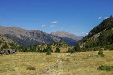 Fototapeta na wymiar Mountain valley in Pyrenees near Coma Pedrosa peak. Andorra