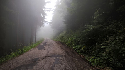 Fototapeta premium Misty road in the woods. Slovakia