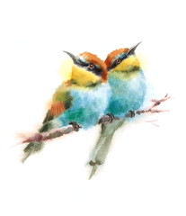 Two Birds Bee-eaters Looking in the Opposite Directions Sitting on the branch Hand Painted Watercolor Illustration Isolated on white background