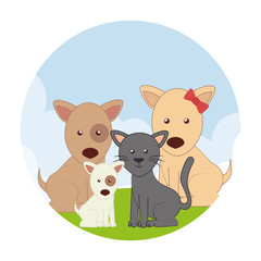 cute pets characters icon vector illustration design