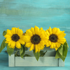 Fototapeta premium Bouquet of yellow sunflowers on teal background
