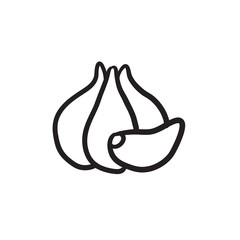 Garlic sketch icon.