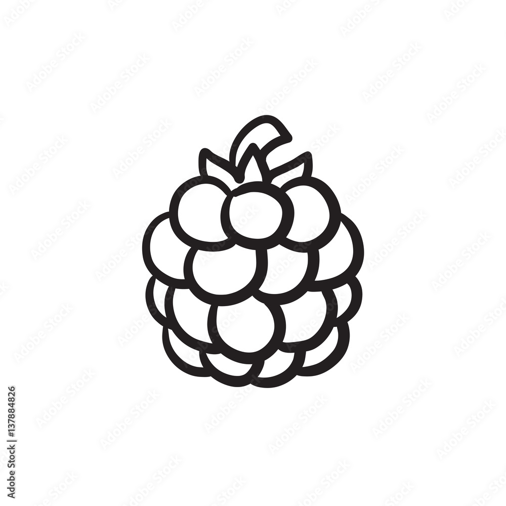 Poster raspberry sketch icon.