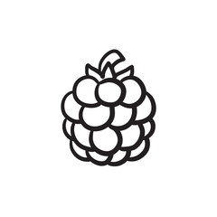 Raspberry sketch icon.
