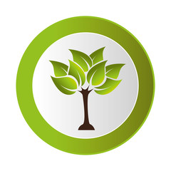leafs plant ecology symbol vector illustration design