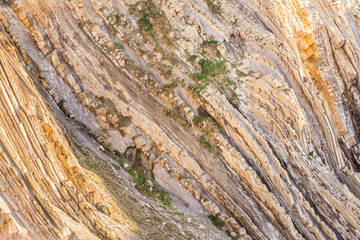 detailed flysch coat at cantabrian coast, Spain
