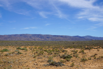 Africa safari landscape with river ,meadow and mountain background