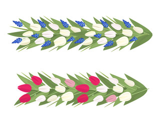 Fototapeta premium Vector spring flowers garland with pink and white tulips and Muscari on white background. Can be connected in a longer strip