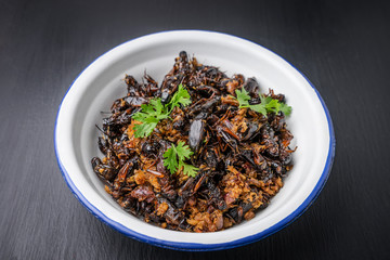 Food insect, Fried crickets in iron bowl on wooden table, Thai food.
